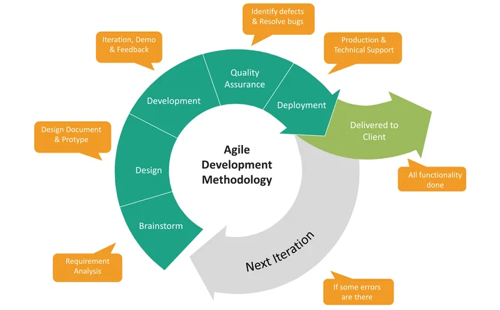 Custom Software Development